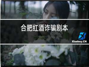 合肥红酒诈骗剧本