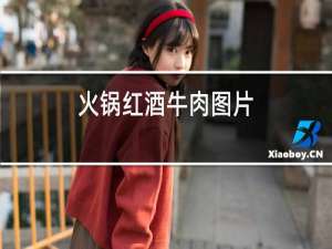 火锅红酒牛肉图片