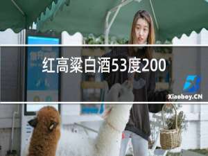 红高粱白酒53度2006年