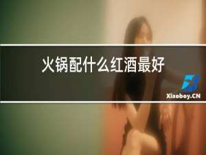 火锅配什么红酒最好