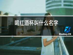 喝红酒杯叫什么名字