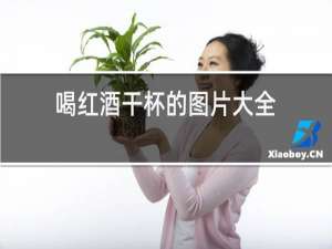 喝红酒干杯的图片大全