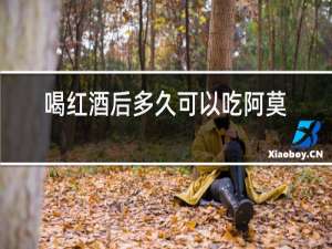 喝红酒后多久可以吃阿莫西林胶囊吗