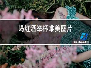 喝红酒举杯唯美图片