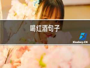 喝红酒句子