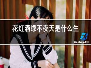 花红酒绿不夜天是什么生肖