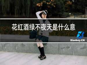 花红酒绿不夜天是什么意思