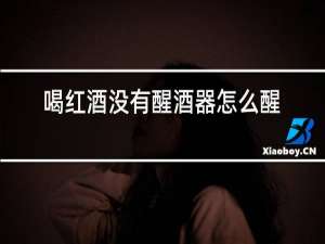 喝红酒没有醒酒器怎么醒酒