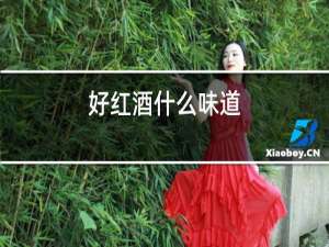 好红酒什么味道