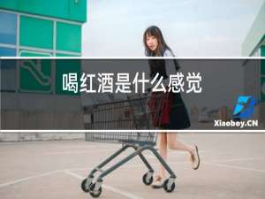 喝红酒是什么感觉
