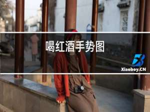 喝红酒手势图