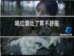喝红酒吐了胃不舒服