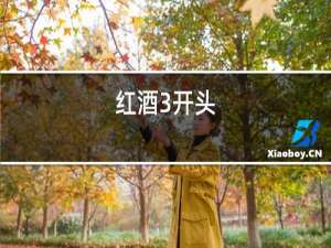 红酒3开头