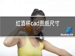 红酒杯cad图纸尺寸