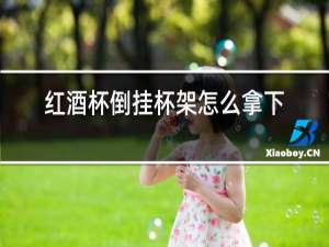 红酒杯倒挂杯架怎么拿下来