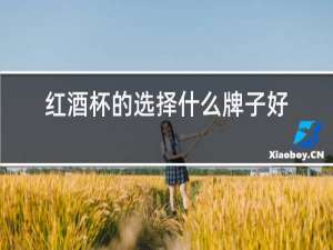 红酒杯的选择什么牌子好