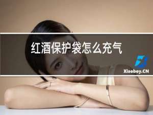 红酒保护袋怎么充气
