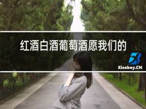 红酒白酒葡萄酒愿我们的友谊天长地久下联