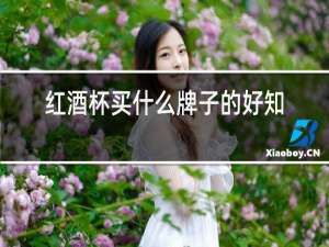 红酒杯买什么牌子的好知乎
