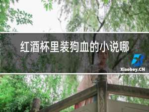 红酒杯里装狗血的小说哪本最好看