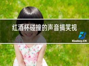 红酒杯碰撞的声音搞笑视频