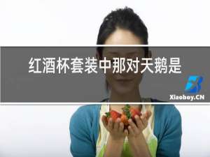 红酒杯套装中那对天鹅是干什么用的