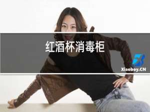 红酒杯消毒柜