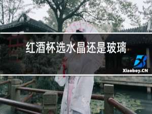 红酒杯选水晶还是玻璃