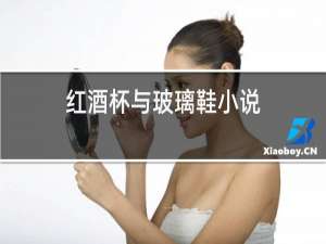 红酒杯与玻璃鞋小说