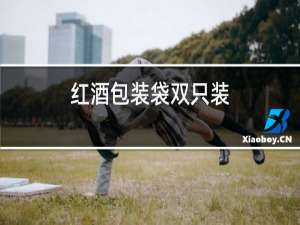 红酒包装袋双只装