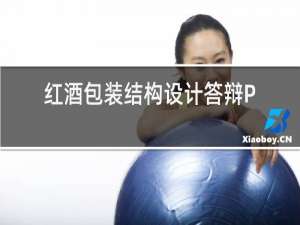 红酒包装结构设计答辩PPT