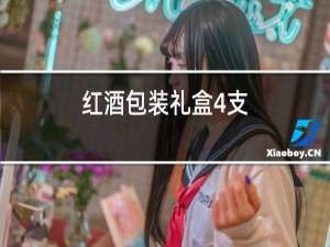 红酒包装礼盒4支