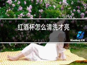 红酒杯怎么清洗才亮