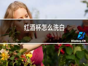 红酒杯怎么洗白