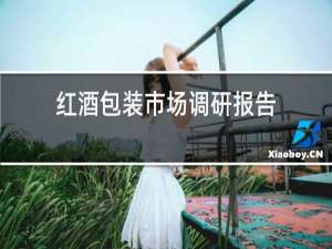 红酒包装市场调研报告