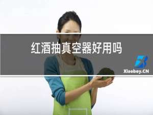 红酒抽真空器好用吗