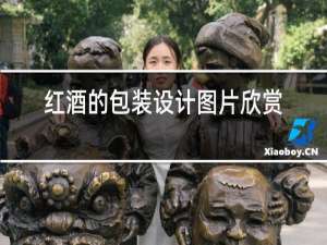 红酒的包装设计图片欣赏