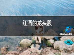 红酒的龙头股