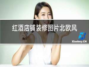 红酒店铺装修图片北欧风格