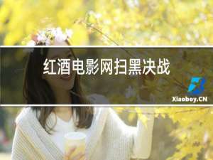 红酒电影网扫黑决战