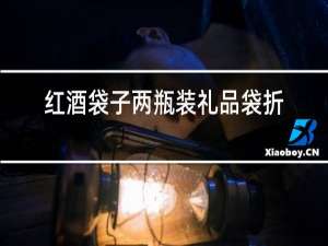 红酒袋子两瓶装礼品袋折叠