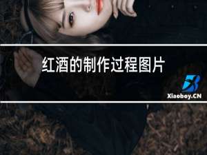 红酒的制作过程图片