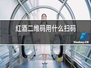 红酒二维码用什么扫码