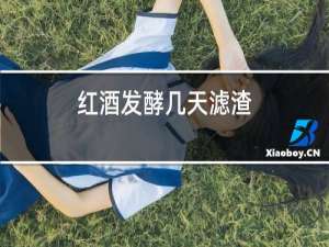 红酒发酵几天滤渣