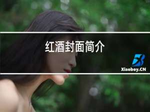 红酒封面简介
