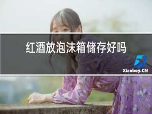 红酒放泡沫箱储存好吗