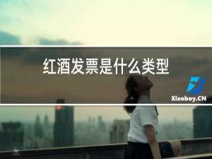 红酒发票是什么类型