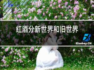 红酒分新世界和旧世界