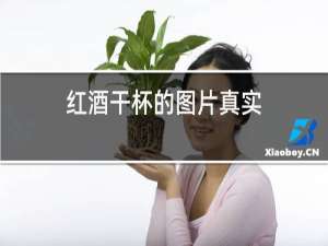 红酒干杯的图片真实