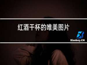 红酒干杯的唯美图片